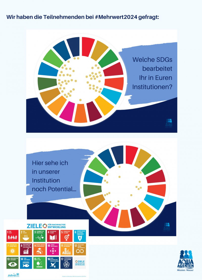 Mehrwert-Frage SDGs.jpg